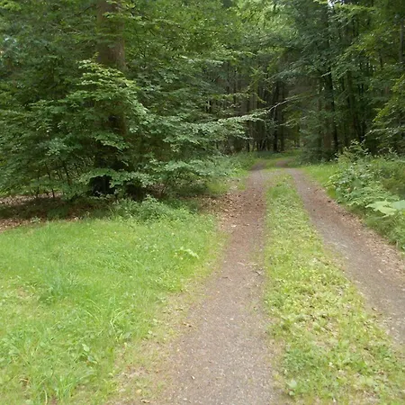 Haus Liesertal Maison d'hôtes Üdersdorf