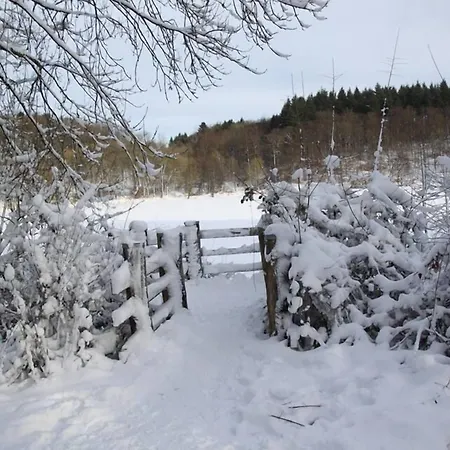 Pensionat Haus Liesertal 3*