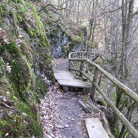 בית הארחה Haus Liesertal 3*