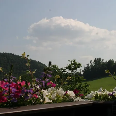 Haus Liesertal 3* Üdersdorf