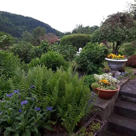 Haus Liesertal 우덴스도프
