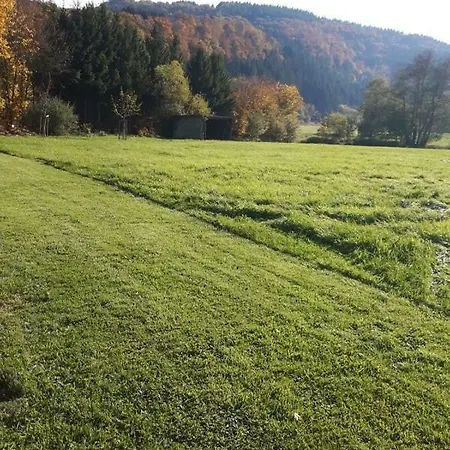 בית הארחה Haus Liesertal 3*