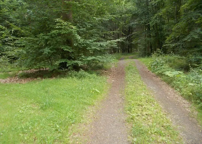 Haus Liesertal Guest house Udersdorf