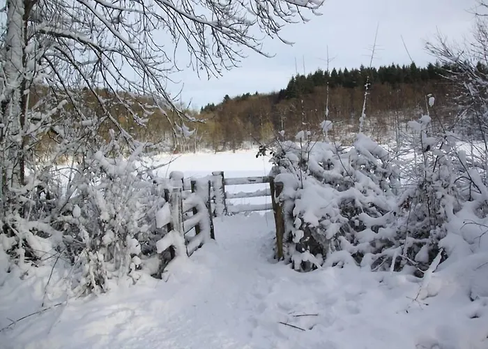 ゲストハウス Haus Liesertal 3*