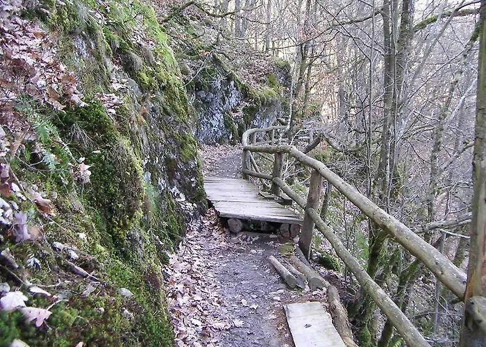 Guest house Haus Liesertal 3*