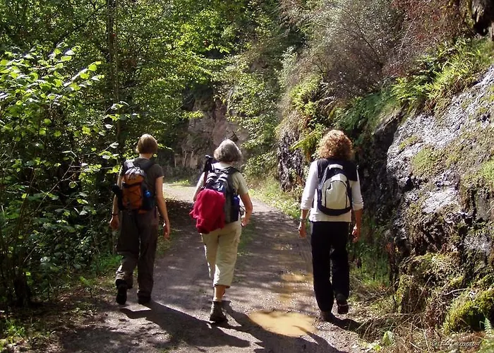Casa de hóspedes Haus Liesertal