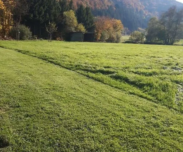 Guest house Haus Liesertal 3*