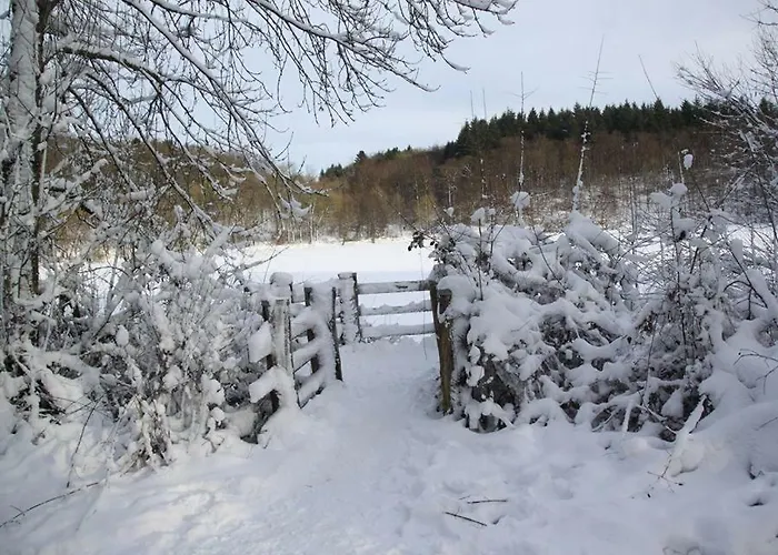 Haus Liesertal Guest house